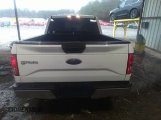 2016 Ford F-150 XL with VIN 1FTEX1CP2GKF17539, listed as a IAAI auction lot 41564689 with 251,000 mi miles and . Bid and sale history available at carsss.com. Image 16.