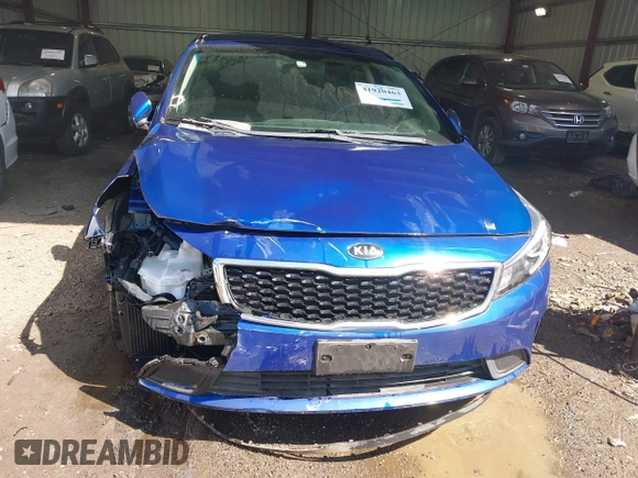 2018 Kia Forte LX with VIN 3KPFL4A70JE164474, listed as a IAAI auction lot 41920463 with 33,874 mi miles and . Bid and sale history available at DreamBid. Image 12.
