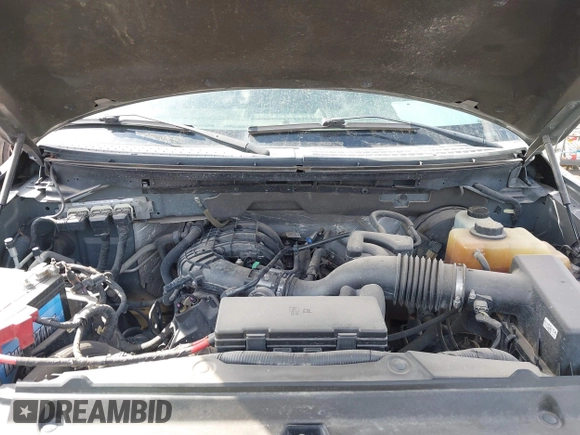 2013 Ford F-150 XL with VIN 1FTEX1CM8DFD67446, listed as a IAAI auction lot 41891784 with 159,909 mi miles and . Bid and sale history available at DreamBid. Image 10.