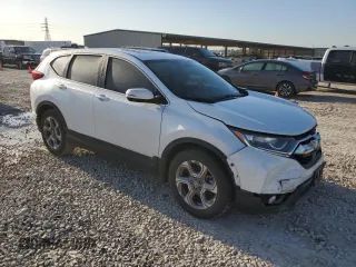2019 Honda CR-V EX-L with VIN 7FARW1H83KE024999, listed as a Copart auction lot 52218155 with 38,068 mi miles and Salvage Title. Bid and sale history available at carsss.com. Image 4.