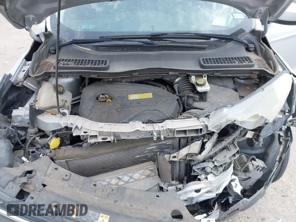 2013 Ford Escape SE with VIN 1FMCU0GX9DUD68711, listed as a IAAI auction lot 42243521 with 120,441 mi miles and . Bid and sale history available at DreamBid. Image 10.