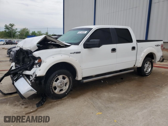 2009 Ford F-150 XL with VIN 1FTRW14869FA71810, listed as a Copart auction lot 55146085 with 191,405 mi miles and Non repairable. Bid and sale history available at DreamBid. Image 1.