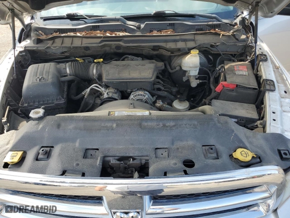2010 Dodge Ram 1500 SLT with VIN 1D7RB1GP7AS118164, listed as a Copart auction lot 48877555 with 114,099 mi miles and Salvage Title. Bid and sale history available at carsss.com. Image 11.