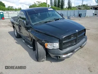 2005 Dodge 1500 SLT with VIN 1D7HA16N05J620900, listed as a Copart auction lot 62300854 with 231,675 mi miles and Salvage Title. Bid and sale history available at carsss.com. Image 10.