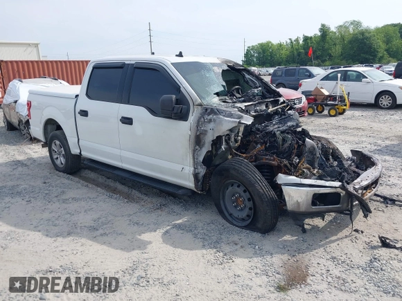 2019 Ford F-150 XL with VIN 1FTEW1C53KFC88713, listed as a IAAI auction lot 42053323 with Not Provided miles and . Bid and sale history available at carsss.com. Image 1.