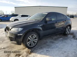 2010 BMW X6 M with VIN 5YMGZ0C57ALK13322, listed as a Copart auction lot 84522144 with 166,677 mi miles and Clean Title. Bid and sale history available at carsss.com. Image 1.