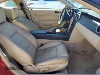 2006 Ford Mustang Standard with VIN 1ZVFT80N365106267, listed as a Copart auction lot 49793925 with Not Provided miles and Salvage Title. Bid and sale history available at carsss.com. Image 7.