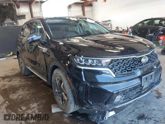 2021 Kia Sorento EX with VIN KNDRH4LG3M5018873, listed as a IAAI auction lot 42373212 with 98,182 mi miles and . Bid and sale history available at DreamBid. Image 1.