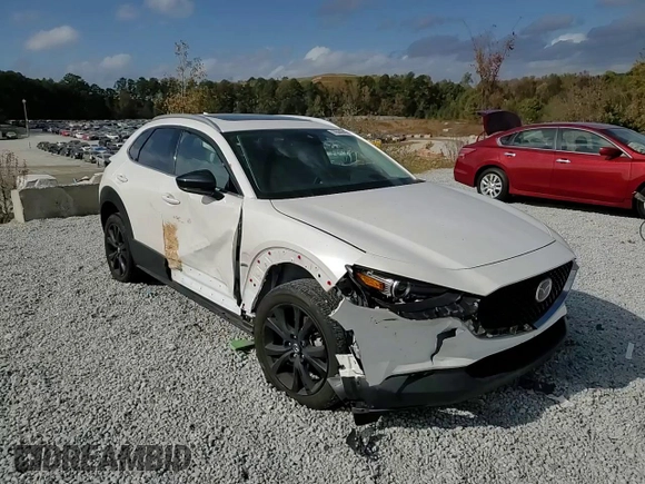 2023 Mazda CX-30 Premium with VIN 3MVDMBDY1PM510574, listed as a Copart auction lot 78449424 with 75,631 mi miles and Salvage title. Bid and sale history available at DreamBid. Image 10.
