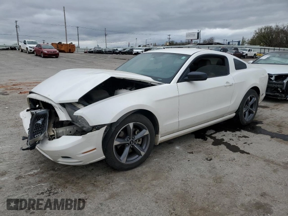 2013 Ford Mustang V6 with VIN 1ZVBP8AM4D5262212, listed as a Copart auction lot 51121685 with Not Provided miles and Salvage Title. Bid and sale history available at carsss.com. Image 1.