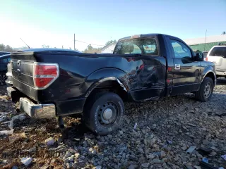 2010 Ford F-150 XL with VIN 1FTMF1C88AKE06766, listed as a Copart auction lot 81113564 with 0 mi miles and Clean Title. Bid and sale history available at carsss.com. Image 3.