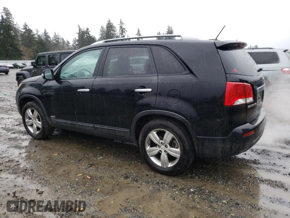 2013 Kia Sorento EX with VIN 5XYKUDA63DG351184, listed as a Copart auction lot 46623205 with 126,102 mi miles and Salvage Title. Bid and sale history available at carsss.com. Image 2.