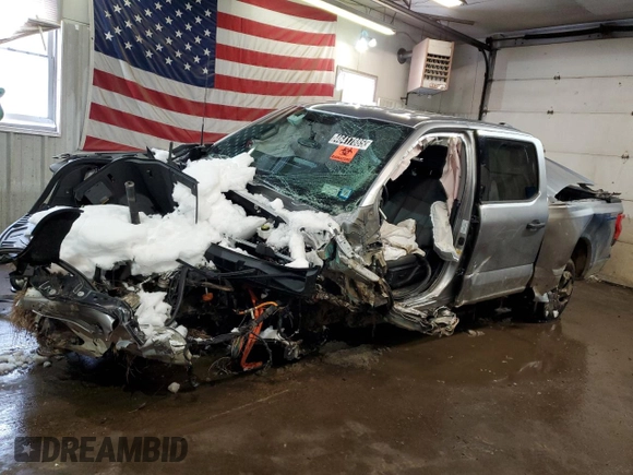 2024 Ford F-150 Lightning XLT with VIN 1FTVW3LK9RWG06135, listed as a Copart auction lot 46417885 with Not provided miles and Non repairable. Bid and sale history available at DreamBid. Image 1.