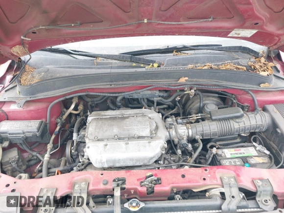 2003 Honda Pilot EX with VIN 2HKYF18513H608933, listed as a IAAI auction lot 42123663 with 309,649 mi miles and . Bid and sale history available at DreamBid. Image 10.