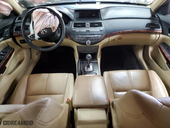 2010 Honda Accord Crosstour EX-L with VIN 5J6TF1H51AL014601, listed as a Copart auction lot 46288795 with 0 mi miles and Salvage Title. Bid and sale history available at carsss.com. Image 8.