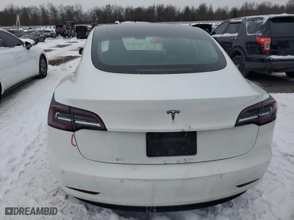 2020 Tesla Model 3 Standard Range Plus with VIN 5YJ3E1EA9LF613181, listed as a Copart auction lot 41799135 with 122,120 mi miles and Salvage Title. Bid and sale history available at carsss.com. Image 6.