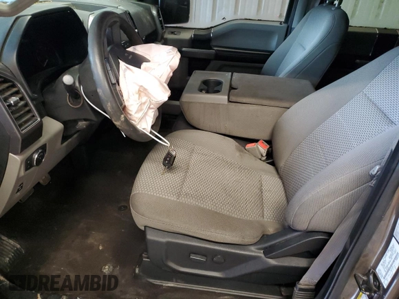 2019 Ford F-150 XL with VIN 1FTEW1E50KFB37762, listed as a Copart auction lot 56536265 with 79,494 mi miles and Salvage title. Bid and sale history available at DreamBid. Image 7.