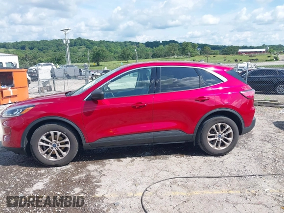2022 Ford Escape SE with VIN 1FMCU0G69NUB54973, listed as a IAAI auction lot 42476092 with 42,838 mi miles and . Bid and sale history available at DreamBid. Image 14.