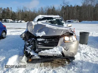 2007 Hyundai Santa Fe GL z VIN 5NMSG13E67H124723, wystawiony jako Copart lot #85953554 z przebiegiem 103 837 mil mil oraz Szkoda całkowita • Salvage title. Historia ofert i sprzedaży dostępna na DreamBid. Obrazek 5.