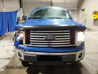 2011 Ford F-150 XL with VIN 1FTFX1EF8BFA05066, listed as a Copart auction lot 51952225 with 238,333 mi miles and Salvage title. Bid and sale history available at DreamBid. Image 5.