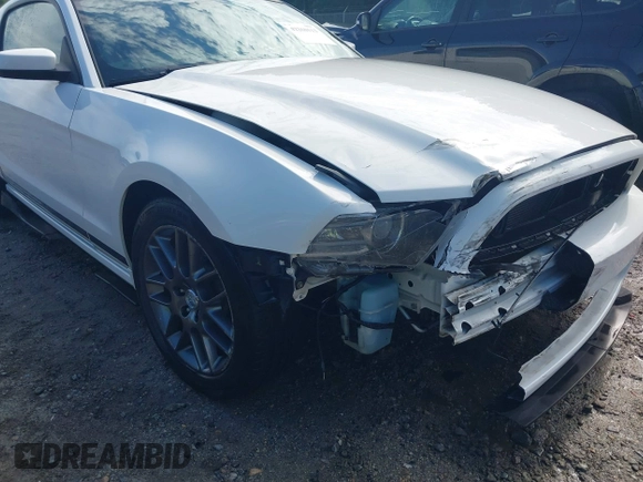 2013 Ford Mustang V6 with VIN 1ZVBP8AMXD5281234, listed as a IAAI auction lot 42260113 with 124,188 mi miles and . Bid and sale history available at DreamBid. Image 6.