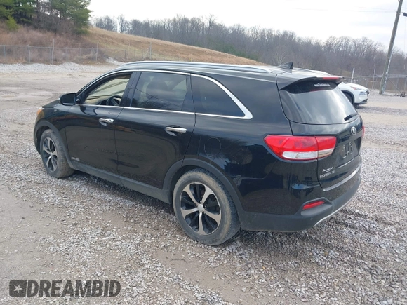 2017 Kia Sorento EX with VIN 5XYPHDA54HG323420, listed as a IAAI auction lot 41649355 with Not Provided miles and . Bid and sale history available at DreamBid. Image 3.