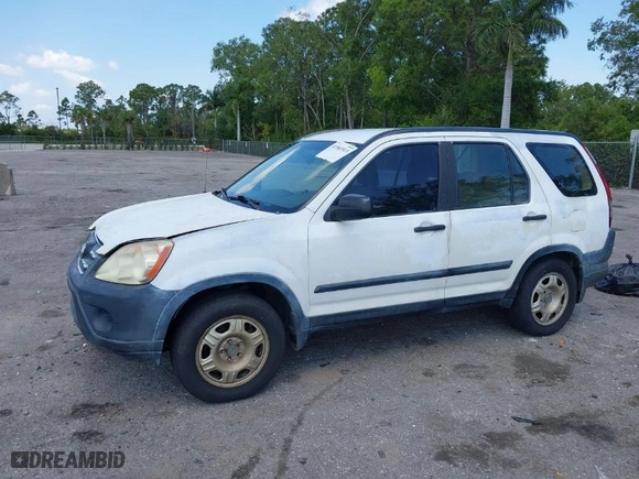 2005 Honda CR-V LX with VIN JHLRD68565C005484, listed as a IAAI auction lot 41983513 with 215,839 mi miles. Bid and sale history available at carsss.com. Image 2.
