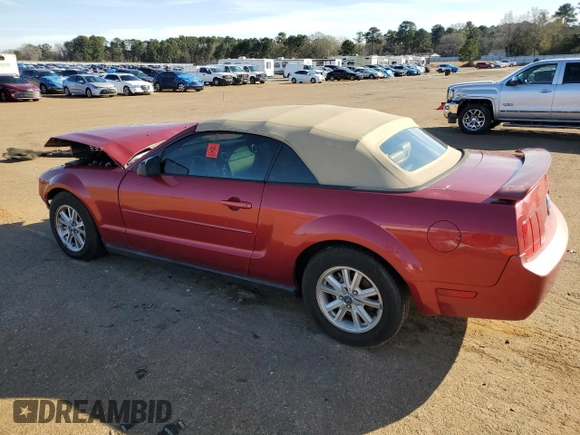 2006 Ford Mustang Standard with VIN 1ZVFT84N665166196, listed as a Copart auction lot 88298585 with 145,248 mi miles and Salvage Title. Bid and sale history available at carsss.com. Image 2.