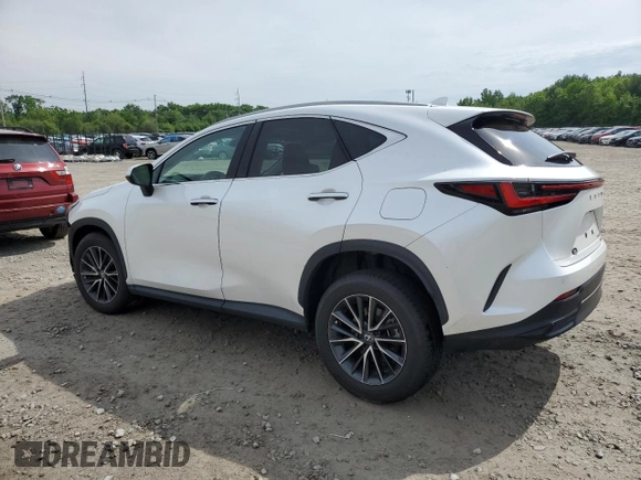 2024 Lexus NX 350 Premium with VIN 2T2GGCEZXRC052446, listed as a Copart auction lot 55400824 with 4,321 mi miles and Salvage title. Bid and sale history available at DreamBid. Image 2.