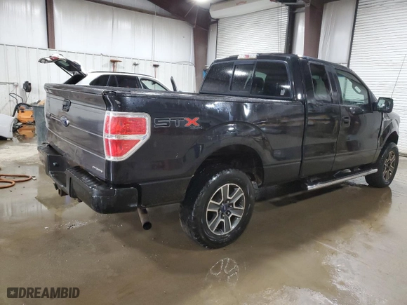 2010 Ford F-150 XL with VIN 1FTEX1E89AFC76858, listed as a Copart auction lot 47958525 with 194,509 mi miles and Salvage Title. Bid and sale history available at carsss.com. Image 3.