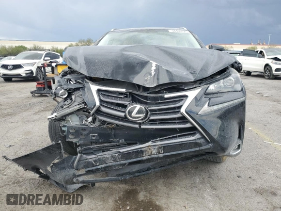 2017 Lexus NX 200t with VIN JTJYARBZXH2079853, listed as a Copart auction lot 58400125 with 119,555 mi miles and Salvage title. Bid and sale history available at DreamBid. Image 5.