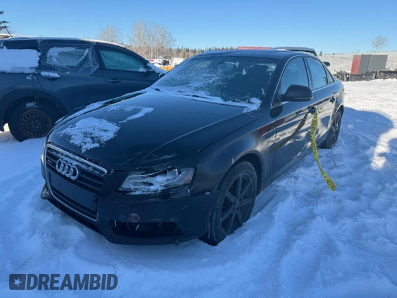 2009 Audi A4 with VIN WAULF68K79N017833, listed as a Copart auction lot 86507584 with 202,534 mi miles and Salvage title. Bid and sale history available at DreamBid. Image 1.