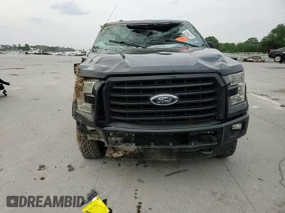 2016 Ford F-150 XLT with VIN 1FTEW1EFXGKF02911, listed as a Copart auction lot 57268625 with 114,794 mi miles and Salvage title. Bid and sale history available at DreamBid. Image 13.