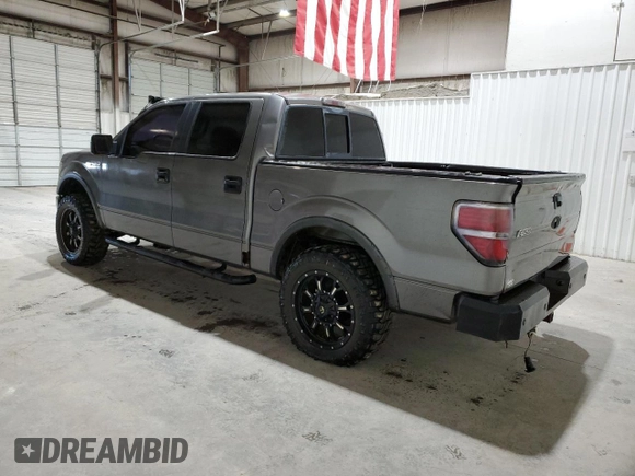 2010 Ford F-150 XL with VIN 1FTFW1EV5AFA74662, listed as a Copart auction lot 48384295 with 234,570 mi miles and Clean Title. Bid and sale history available at carsss.com. Image 2.
