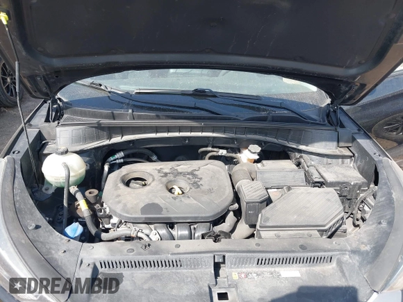 2019 Hyundai Tucson SE with VIN KM8J2CA4XKU852946, listed as a IAAI auction lot 41784214 with 120,857 mi miles. Bid and sale history available at carsss.com. Image 10.