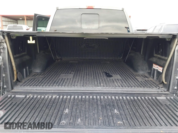 2016 Ford F-150 XLT with VIN 1FTEW1EF5GKD52240, listed as a IAAI auction lot 41971413 with 169,097 mi miles. Bid and sale history available at carsss.com. Image 17.