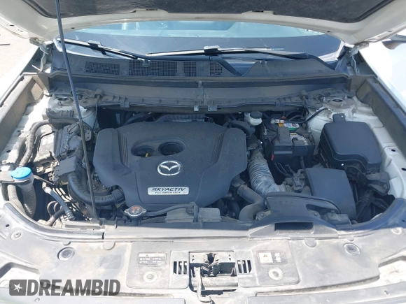 2019 Mazda CX-9 Touring with VIN JM3TCACY8K0300956, listed as a IAAI auction lot 42493003 with 123,709 mi miles and . Bid and sale history available at DreamBid. Image 10.