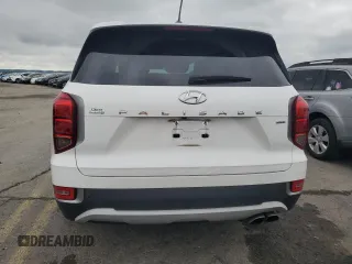 2020 Hyundai Palisade SEL with VIN KM8R2DHE5LU088545, listed as a Copart auction lot 60095485 with 55,331 mi miles and Salvage title. Bid and sale history available at DreamBid. Image 6.