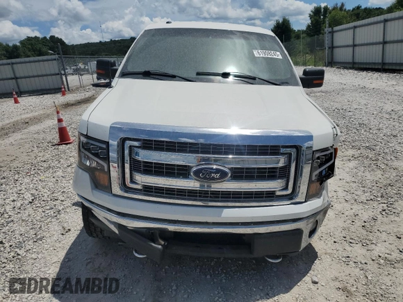2013 Ford F-150 XL with VIN 1FTFX1EF4DFB02199, listed as a Copart auction lot 61959245 with 165,390 mi miles and Salvage title. Bid and sale history available at DreamBid. Image 5.