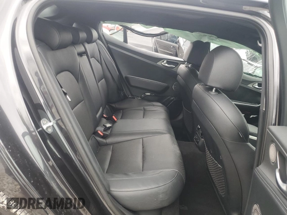 2019 Kia Stinger GT1 with VIN KNAE45LC0K6054506, listed as a Copart auction lot 79434114 with 29,497 mi miles and Non Repairable. Bid and sale history available at carsss.com. Image 10.