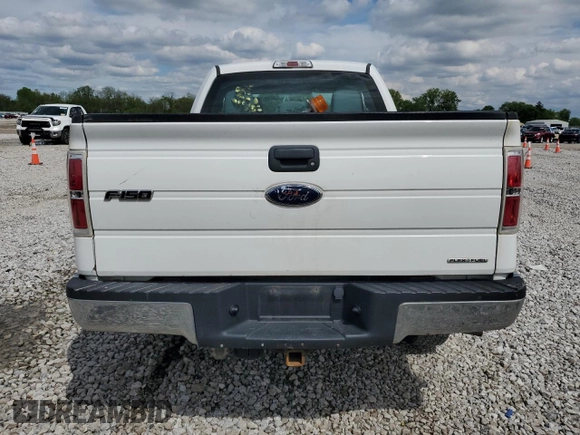 2011 Ford F-150 XL with VIN 1FTFX1EFXBKD38263, listed as a Copart auction lot 55781605 with 260,213 mi miles and Salvage title. Bid and sale history available at DreamBid. Image 6.