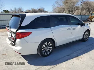 2024 Honda Odyssey EX-L with VIN 5FNRL6H66RB069509, listed as a Copart auction lot 47198505 with 3,341 mi miles and Salvage Title. Bid and sale history available at DreamBid. Image 3.