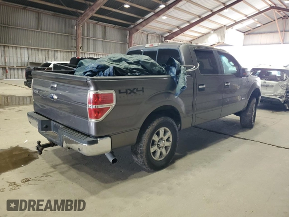 2013 Ford F-150 XL with VIN 1FTFW1ET6DFA01819, listed as a Copart auction lot 65373445 with Not provided miles and Clean title. Bid and sale history available at DreamBid. Image 3.