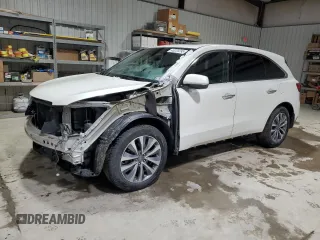 2014 Acura MDX Technology z VIN 5FRYD4H46EB039155, wystawiony jako Copart lot #45220295 z przebiegiem 144 446 mil mil oraz Szkoda całkowita • Salvage title. Historia ofert i sprzedaży dostępna na DreamBid. Obrazek 1.