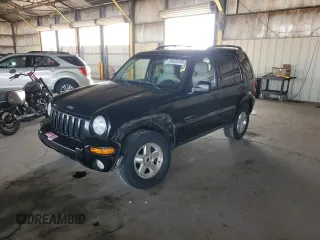 2003 Jeep Liberty Limited with VIN 1J4GL58K23W500830, listed as a Copart auction lot 55525165 with 114,005 mi miles and Salvage title. Bid and sale history available at DreamBid. Image 1.