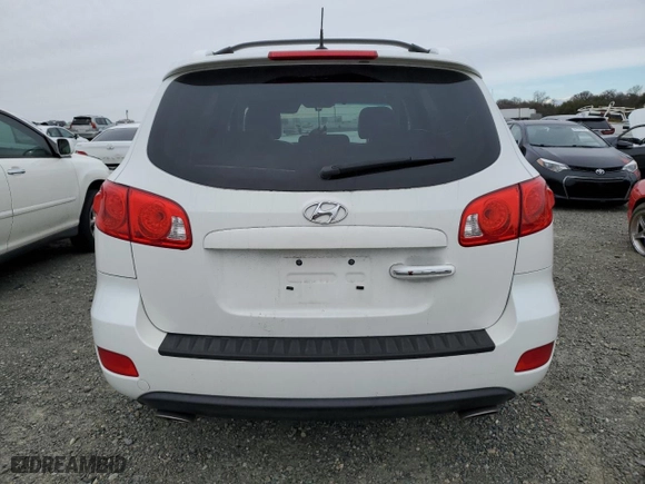 2009 Hyundai Santa Fe SE with VIN 5NMSH13EX9H252785, listed as a Copart auction lot 44768815 with 128,221 mi miles and Salvage Title. Bid and sale history available at carsss.com. Image 6.