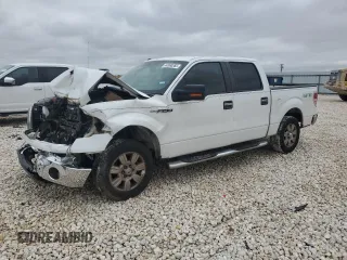 2009 Ford F-150 XL with VIN 1FTRW12859FA38350, listed as a Copart auction lot 44960265 with 145,502 mi miles and Salvage Title. Bid and sale history available at carsss.com. Image 1.