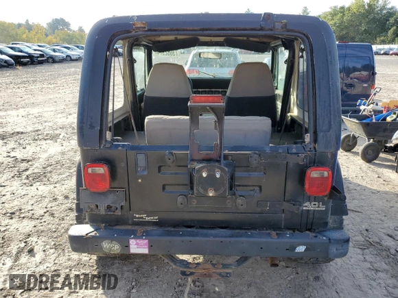 1994 Jeep Wrangler with VIN 1J4FY29S1RP461693, listed as a Copart auction lot 73662974 with 202,452 mi miles and Clean Title. Bid and sale history available at carsss.com. Image 6.
