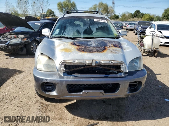 2003 Hyundai Santa Fe with VIN KM8SB12B13U405056, listed as a Copart auction lot 73671484 with 0 mi miles and Salvage Title. Bid and sale history available at carsss.com. Image 5.