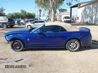 2014 Ford Mustang V6 z VIN 1ZVBP8EM5E5315477, wystawiony jako IAAI lot #42222514 z przebiegiem 215 618 mil mil oraz . Historia ofert i sprzedaży dostępna na DreamBid. Obrazek 14.
